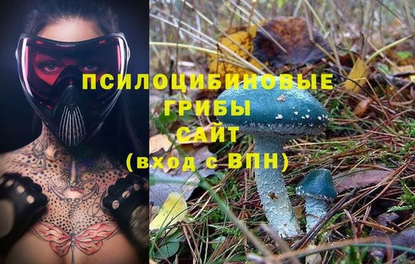 apvp Киренск