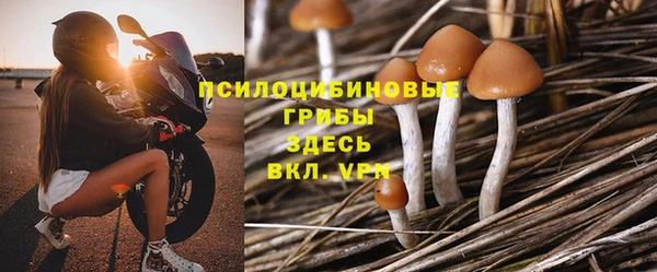 apvp Киренск