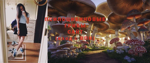ALPHA-PVP Киреевск