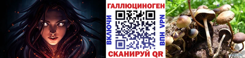 Купить  Бавлы  Псилоцибиновые грибы Cubensis 